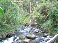 San Gerardo 
