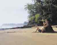 Pacific Beach