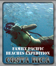 Family Pacific Beaches Expedition