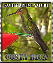 Family Active Nature