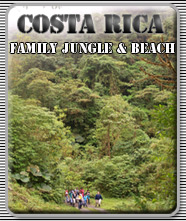 Jungles and Beach
