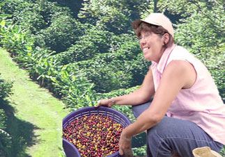 Coffee Tour