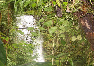Waterfall