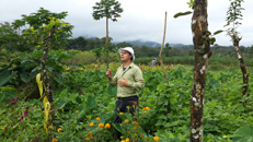 Costa Rica Organic farms