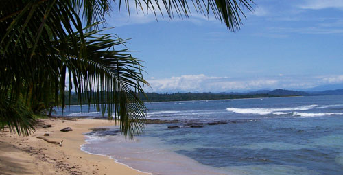 Caribbean Beach, Cocles Costa Rica 