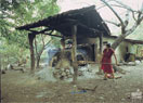 Guanacaste 1
