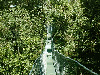 Jungle Monteverde Sky Walk