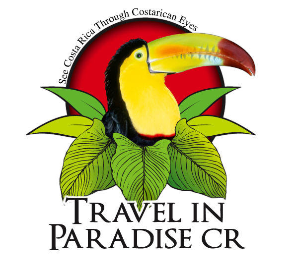 Travel In Paradise Group Tours