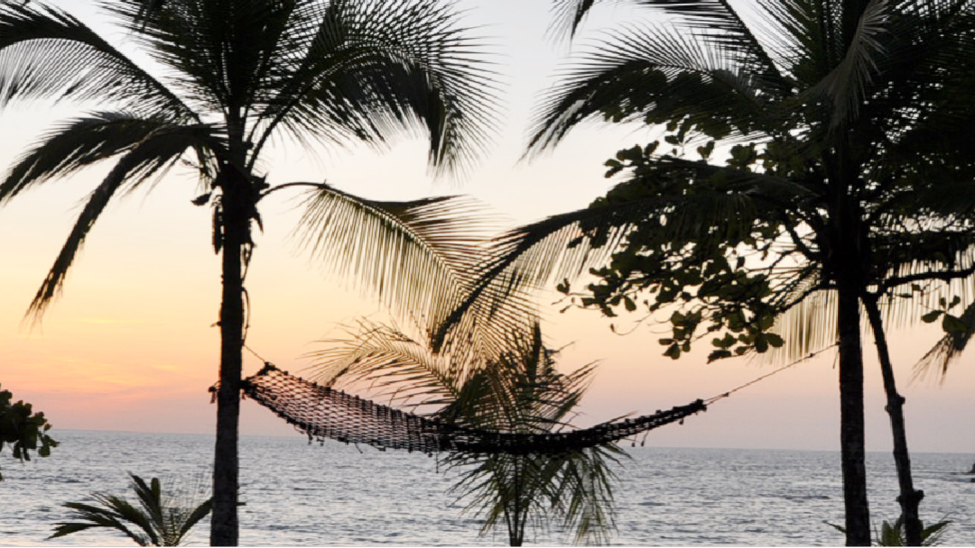 Top 10 Must-Visit Beaches in Costa Rica