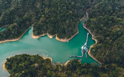 The Ultimate Costa Rica Tours: From Beaches to Rainforests