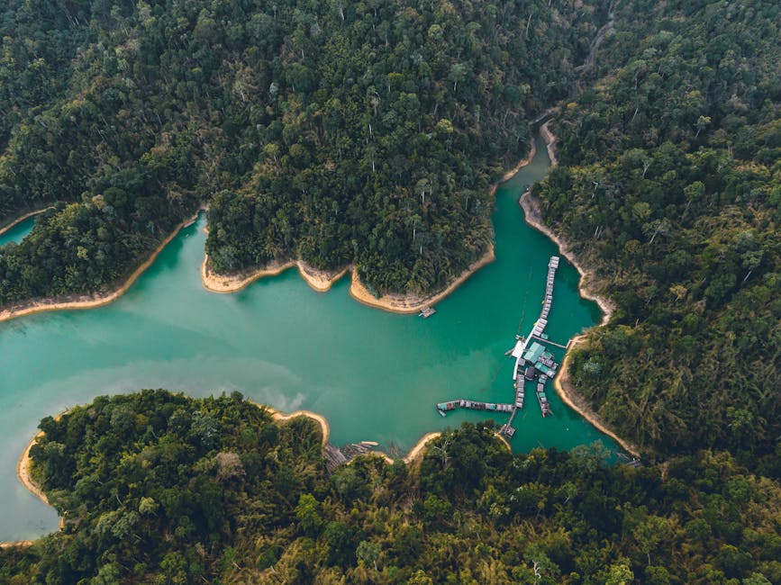 The Ultimate Costa Rica Tours: From Beaches to Rainforests